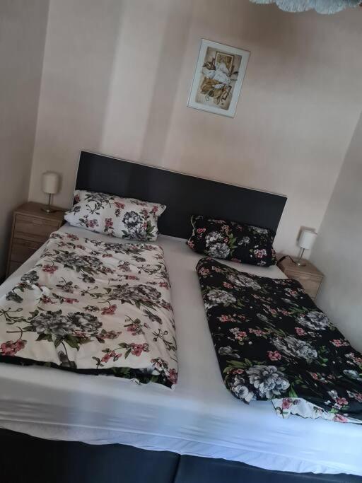 Gemuetliche Ferienwohnung Am Waldrand Elgersburg Εξωτερικό φωτογραφία
